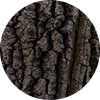 Kulit Kayu Plum Afrika